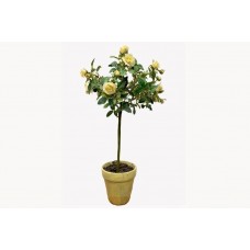 Prop: Potted Rose