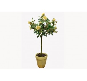 PROP: Potted Rose